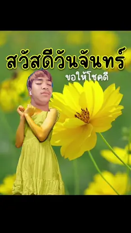 ค่ะสวัสดีวันจันทร์#ตามเทรนหน่อย #สวัสวันจันทร์ #ฟีดดดシ #บางเเสนไฟท์คลับ 
