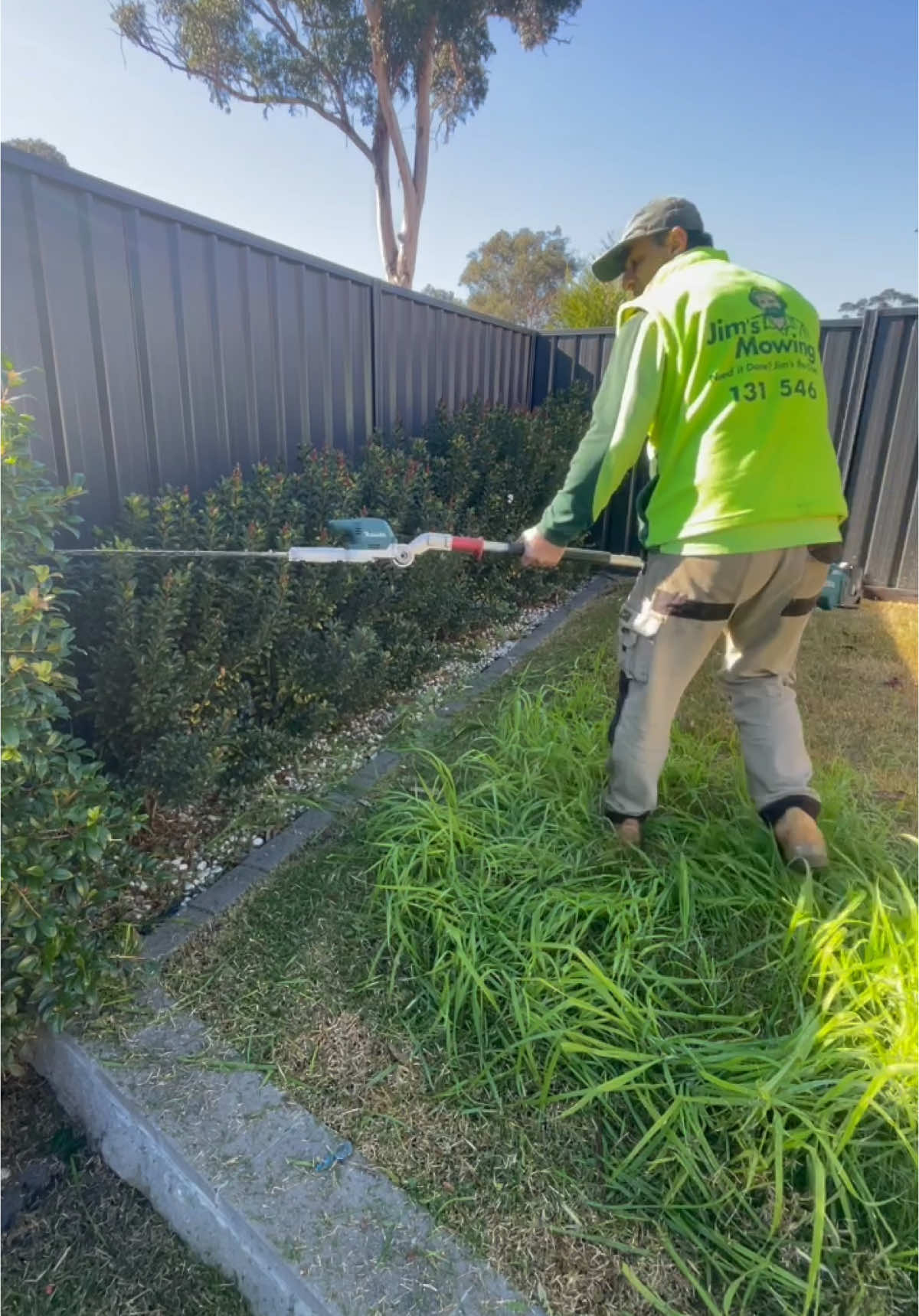 Hedge trimming ✂️👆✂️ For more watching please follow:  #davidsmowingsydney #satisfying #Edge #beforeandafter #DIY #maintenance #gardening #asmr #Love #australia #sydney #explore #videos #viralvideos #usa #photography #makeover #enjoy #vote #foryou #design #uk #greenery #fashion #cleaning #milwaukee #milwaukeetoolsaus #safety #milwaukeetools #transformation