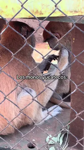 #fypppppppppppppppppppppppp #paratiiiiiiiiiiiiiiiiiiiiiiiiiiiiiii #fouryoupages #humor #likе #viralvideos 