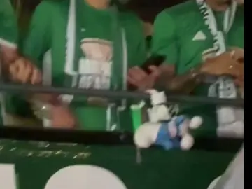 كابوس الهلال 🥶🥶💚💚💚#alahli #galeno #afcchampionsleagueelite #ivantoney #demiral #lbanez #mahrez #جمهور_الاهلي #explore #foryou #fyp #viral #edit #video #cristianoronaldo #barcelona #realmadrid #lamineyamal #lionelmessi #lewandowski 