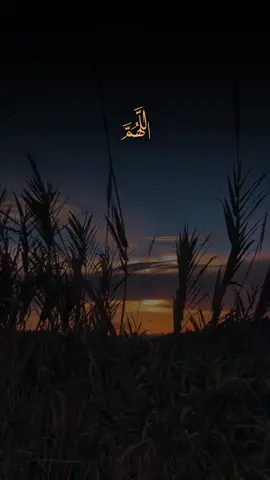 اللهم أمين يارب العالمين 🤲  #يارب_دعوتك_فأستجب_لي_دعائي #يالله_ارحمنا_برحمتك_ياارحم_الراحمين #دعاء #اللهم_صلي_على_نبينا_محمد #videoviral #quran #fyp #tik_tok #lslam 