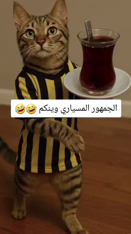 جمهور الجار للإيجار #الاهلي_بطل_اسيا #الشعب_الصيني_ماله_حل😂😂 #الاهلي #ترندات_تيك_توك #الشعب_الصيني_ماله_حل😂😂 #الاتحاد 