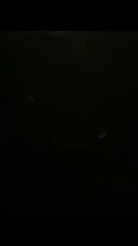 kota banyuwangi malam hari!!! #4u #xybca #vibesmalamhari #banyuwangi #bwi24jam #foryoupage #vdio 