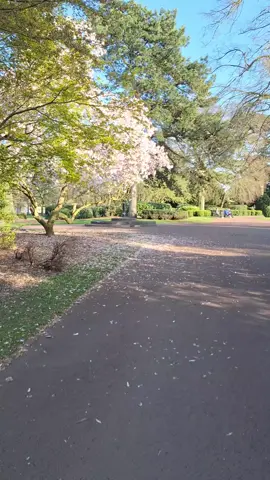 #fyp #foruyou #islamic_video #maulanatariqjameel #foryouvideo #foryoupage❤️❤️ #molanatariqjameel #islamicquotes 