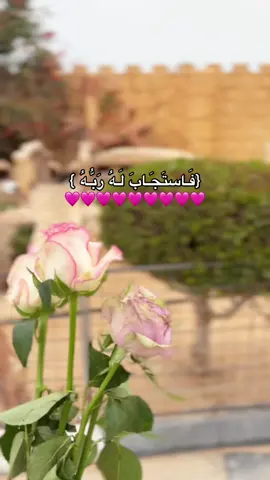 🩷🩷🩷🩷🩷🩷. #الحمدلله_دائماً_وابداً #صدقة_جارية #سبحان_الله_وبحمده_سبحان_الله_العظيم #اللهم_صلي_على_نبينا_محمد #اجر_لي_ولكم 