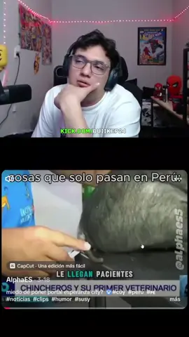 Siempre te recordaremos Susy😭  #humor #reaction #streamer #streamer #quiikep24 