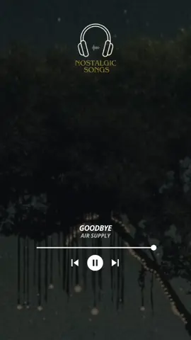 Air Supply - Goodbye #airsupply #goodbye #musica #letra #tradução #fyp 