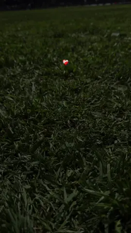 Yo Ya No Vuelvo Contigo#grupofirme#paradedicar🙈❤️🙈#regionalmexicano#yoyanovuelvocontigo#grupofirme#amor#letras#paratii