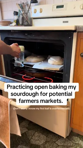 Open bake sourdough with me for future farmers markets.  Also, I know what a sad loaf the first is. Should have just thrown it in a loaf pan.  #openbakesourdough #sourdough #overfermenteddough #sourdough #creatorsearchinsights 