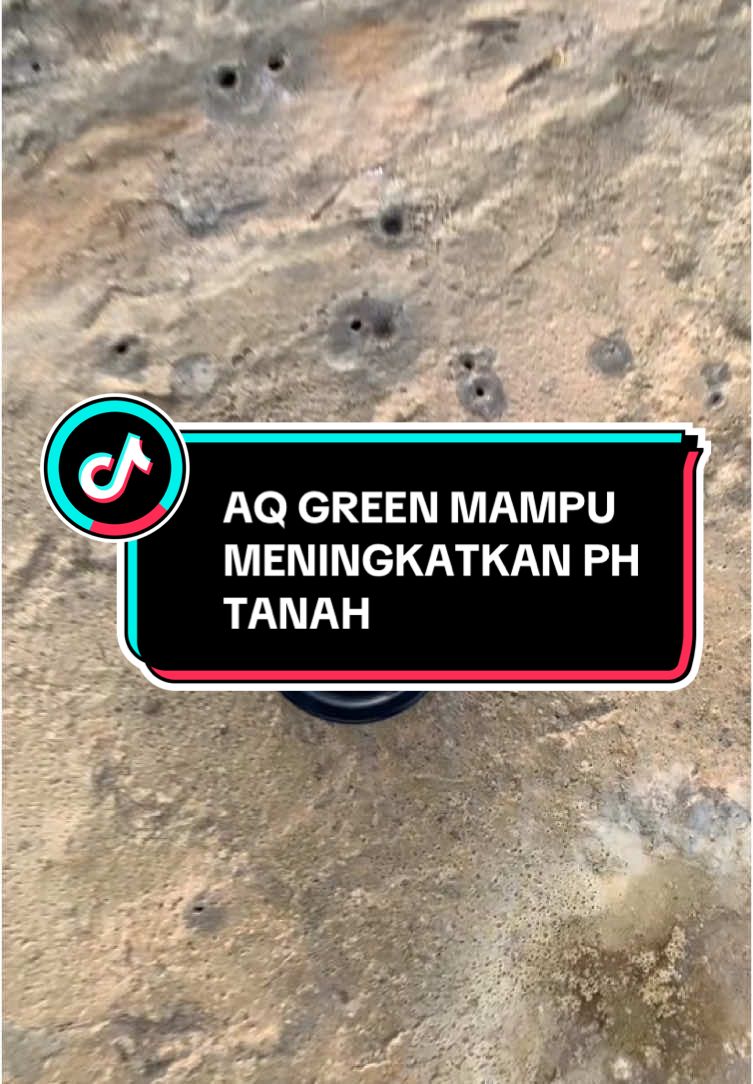 AQ GREEN DAN AQUA GREEN MAMPU MENINGKATKAN PH TANAH#petani #petanimuda #petaniindonesia🇮🇩🇮🇩🇮🇩🌿🌿 #petanimilenial #petanimodern #PETANIMUDA #petanipadi #sawah #aqgreen #pupuk #pupukorganik #pupukorganikcair #sawahpadi #fyp #petanisukses #petanikaretindonesia #PETANIJAGUNG #JAGUNG #tanamjagung #benihpadi 