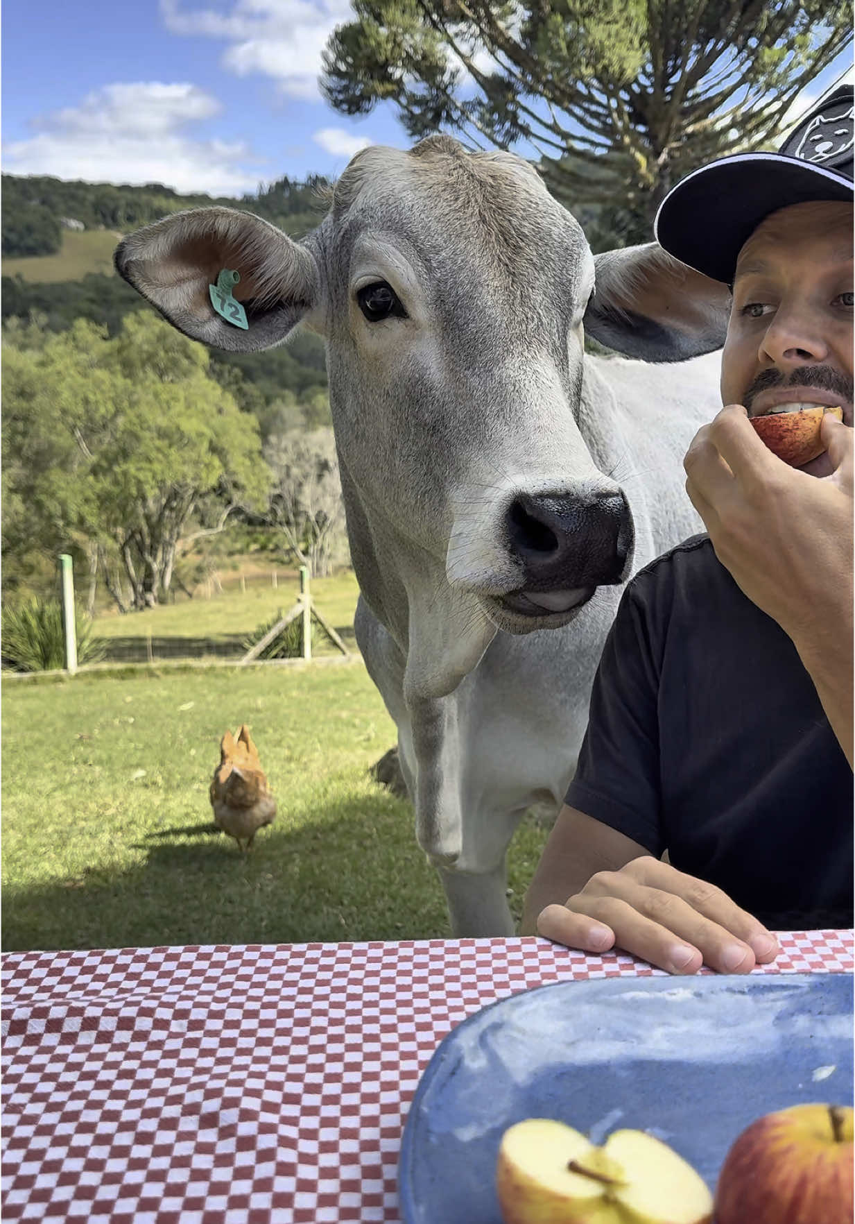 O novo integrante da Família Blue 💙 O  @Tibério Blue 