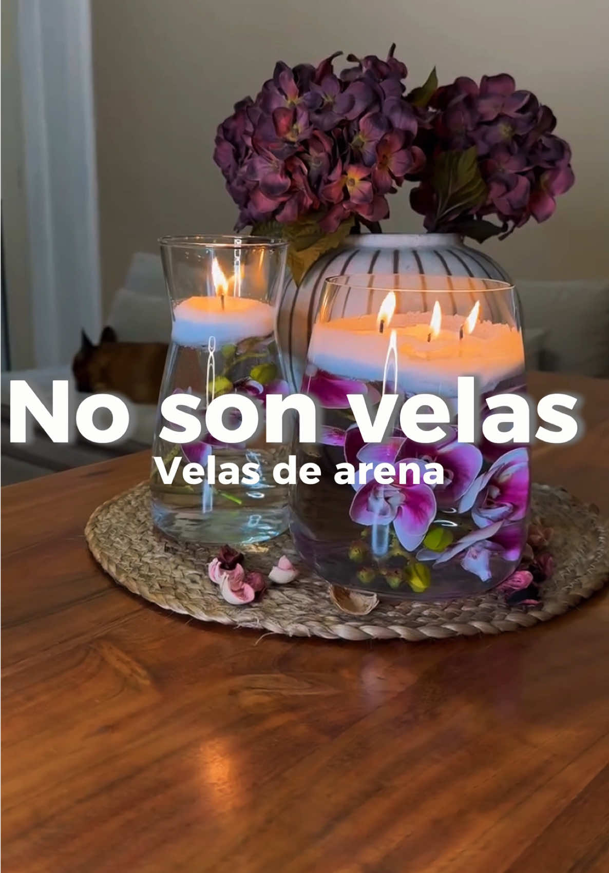 +1️⃣7️⃣8️⃣6️⃣4️⃣1️⃣4️⃣1️⃣7️⃣2️⃣1️⃣Velas de arena no son velas. 
