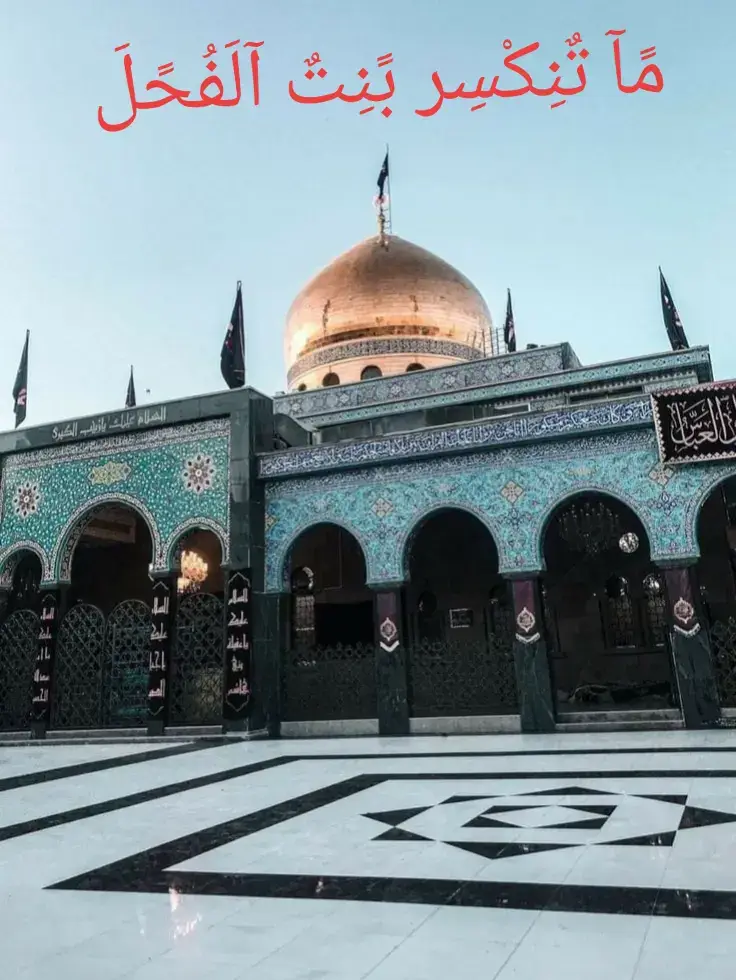 #آلَلَهّمً صّلَِّ عٌلَﮯ مًحًمًدٍ وٌآلَ مًحًمًدٍ 🌺