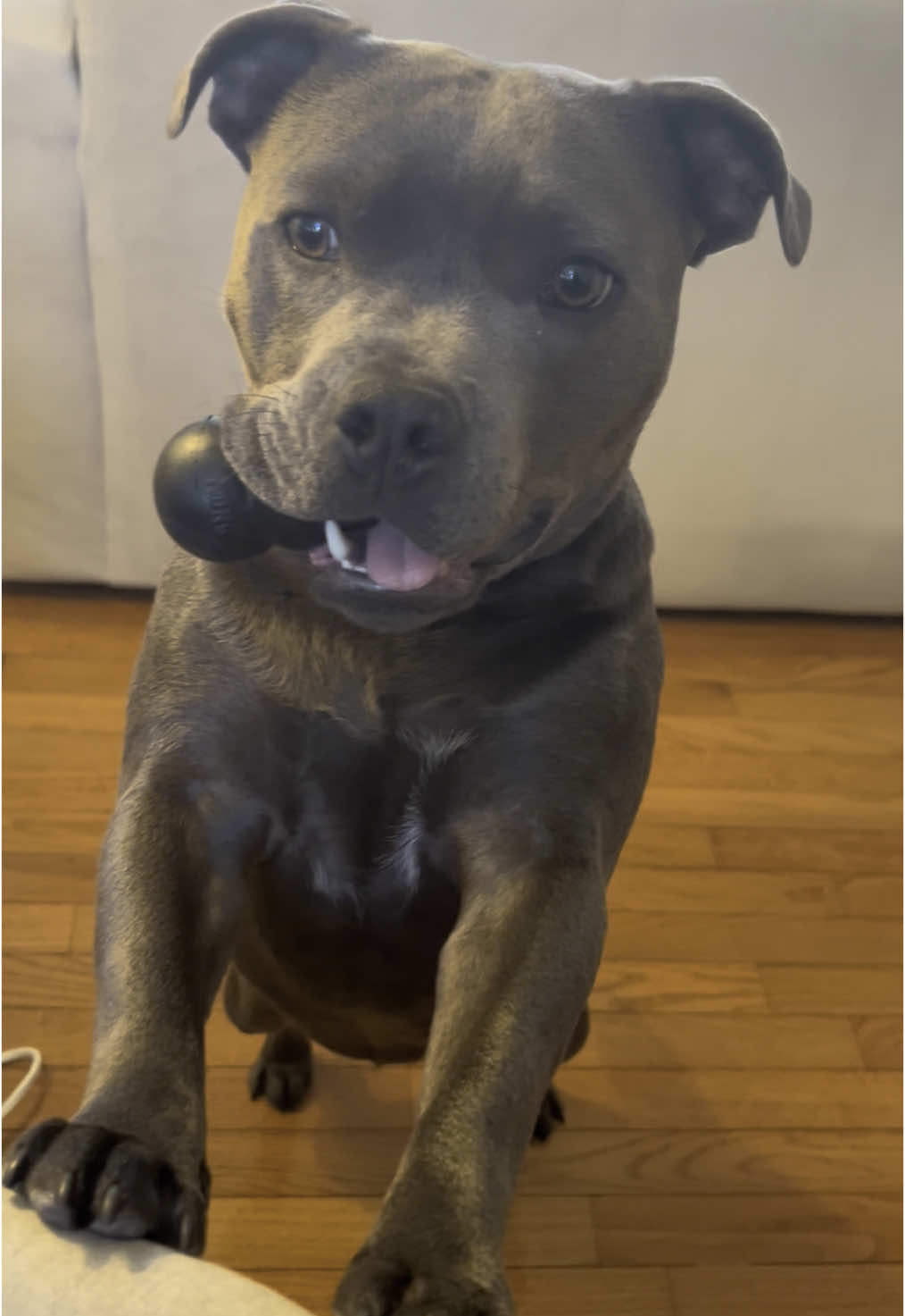 Just an all around perfect little baby 🥹🥹🥹🥹🥹