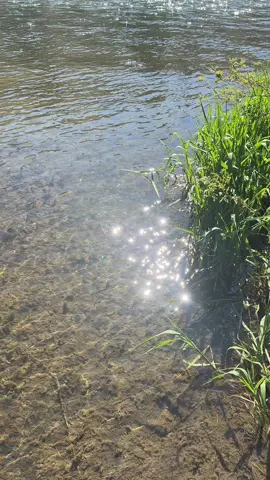 Healing Waters: Nature’s Secret by the River  #HealingWaters #RiverMagic #NatureHeals #SpiritualJourney #MindfulMoments #WaterTherapy #NatureLovers #PeacefulPlaces #EnergyOfNature #ReconnectWithEarth