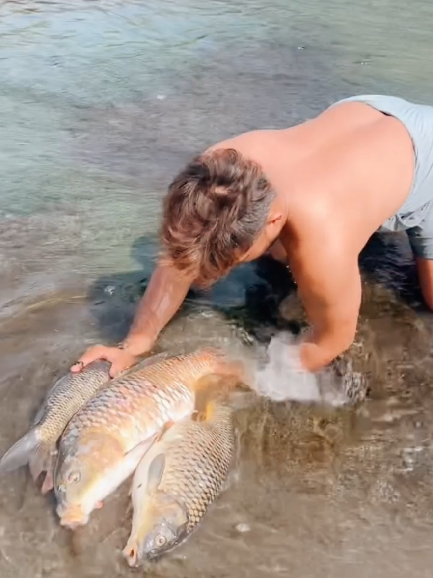 Catching many huge tilapia inside a hole 🐟😲😲#fyp#fishing#ruralfishing #handfishing #netfishing  #fyp#fishtrapping #fishhunting#life#fishingvideo#Vlog#Indiafishing#bigfish#unique_fishing #fish_hunting🐟🐟🐟 #fishingvideos 
