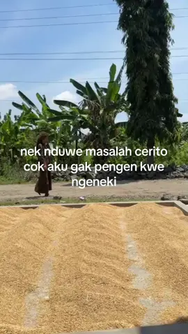 ceritio cok🥹#gelandangan #foryoupage 