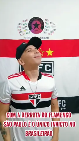 São Paulo é o único invicto #saopaulo #palmeiras #meme #brabosemclubismo #futebol #brasileirao #flamengo 