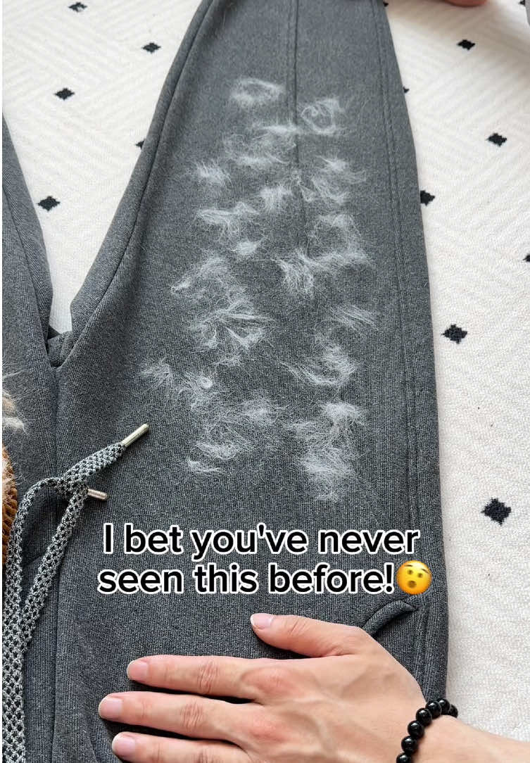 The best pet hair brush ever!✌️#pethairremoval #pet #pethair #CleanTok #fyp #tiktokmademebuyit #petproducts 