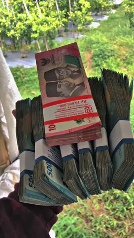 penak Dadi juragan lombok ples petani lombok 🔥🤪#petaniindonesia🇮🇩🇮🇩🇮🇩🌿🌿 #petanimuda #virall #tiktoker #petanicabai #petanisukses💪🌾🌿 #fypage 