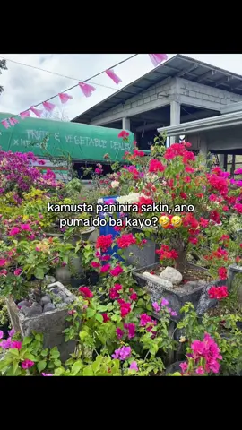 #paldopaldo #epwipi #fyp 