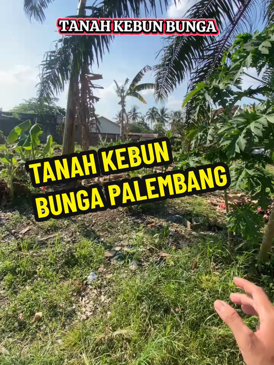 Tanah Kebun Bunga Palembang, masuk dari Jln. Perindustrian -SHM -Tanah Tinggi -Tanah siap bangun WA. 08386090334 #jualtanahkavling #tanahpalembang #jualtanahpalembang #kavlingmurah #palembanginfo #palembangfyp #foryoupage #fyp #4u 
