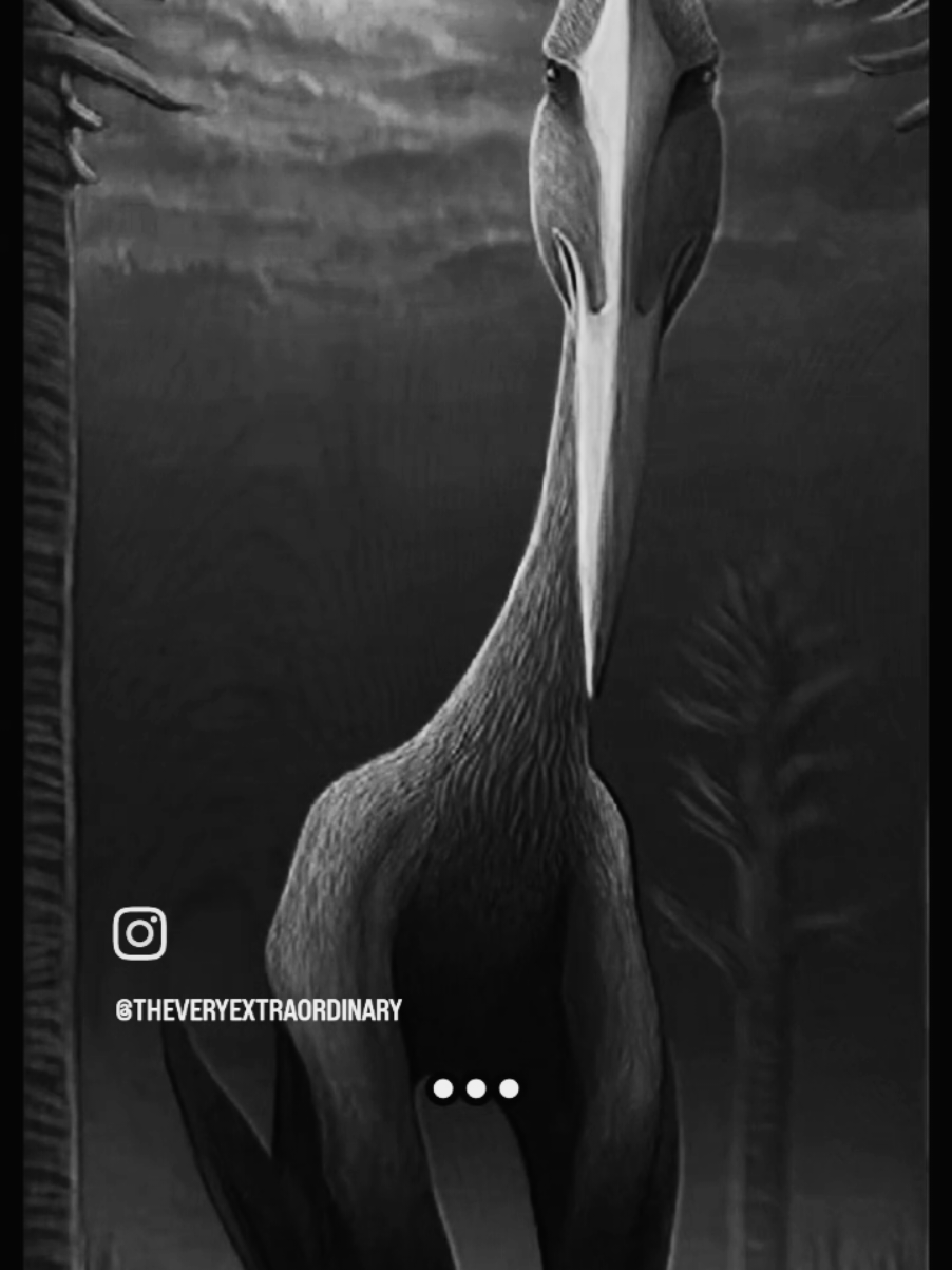 creepy bird sound Quetzalcoatlus