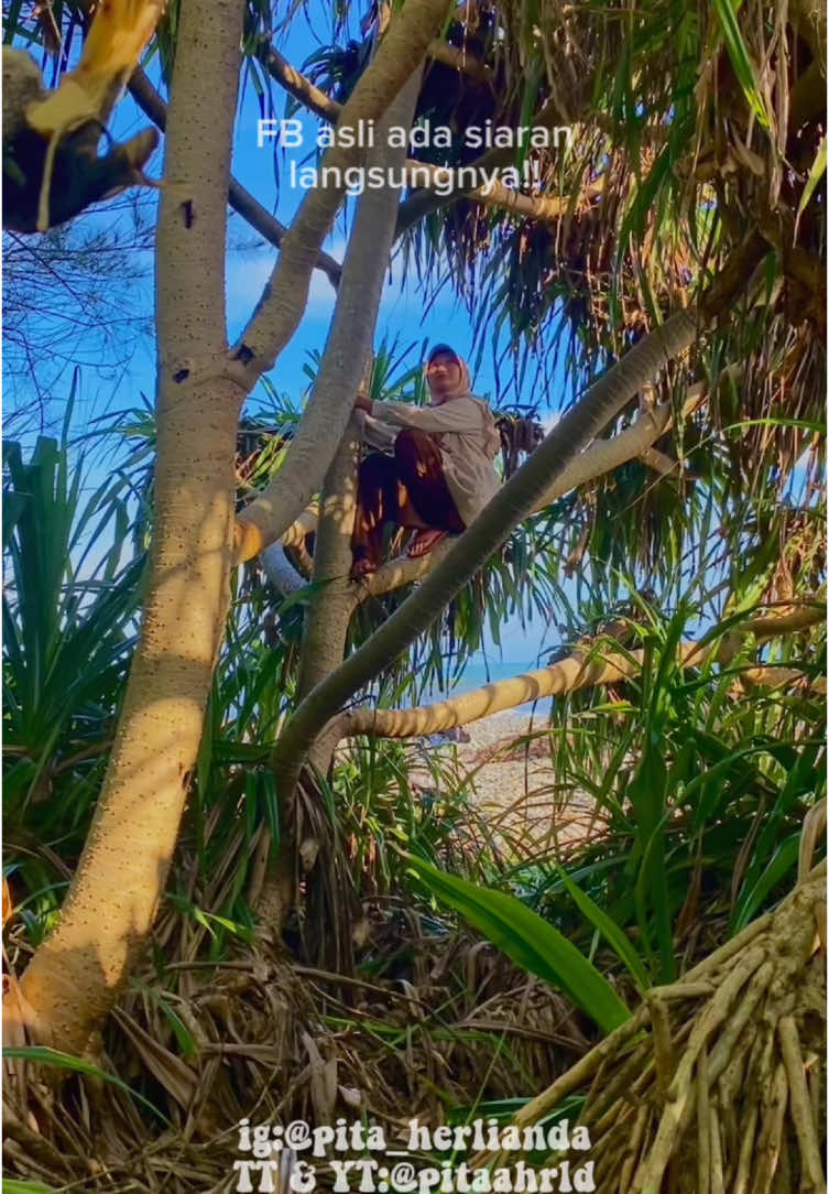 buah apa namanya guys? #pitaahrld #minivlog 