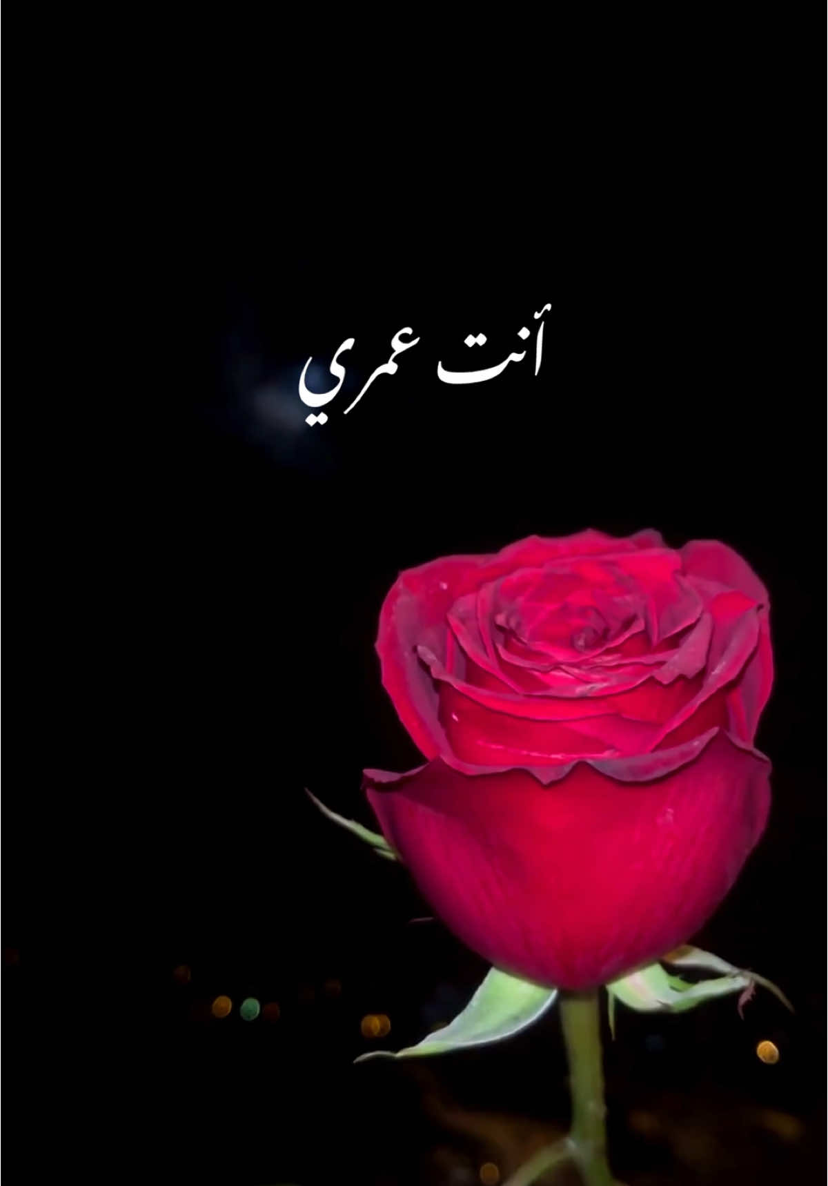 انت عمري وانت قلبي وانت روحي  وانت اكثر شخص في الدنيا احبه  انت شيء من السعادة  يادواء في يد الاطبة #ابوظبي 