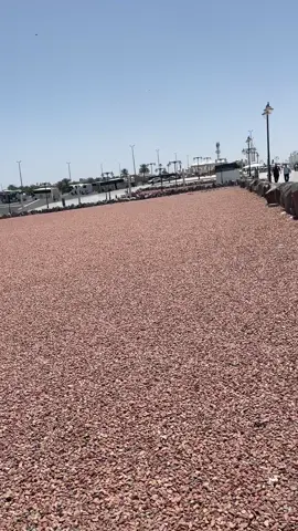 My feelings 😔💔