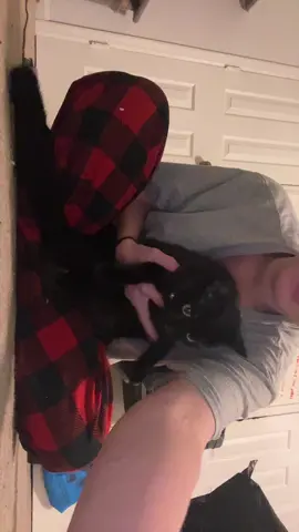I had to bribe her to do this 😭😭😭#fyp #blackcats 