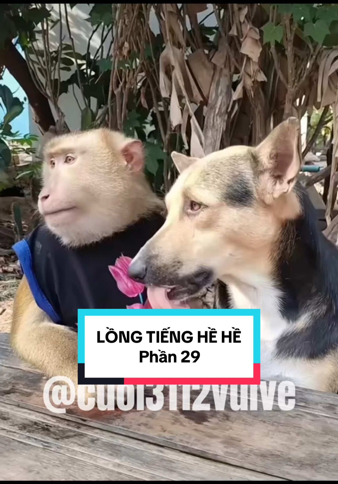 Anh em mà tính toán với nhau quá 😂       #cuoivuive #cuoi3112vuive #cuội #cuoiofficial 