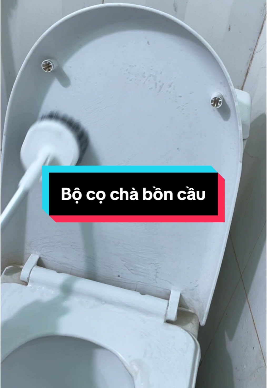 Bộ cọ chà bồn cầu 2 cây Parroti #chaboncau #chanhavesinh #chatolet 