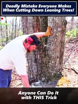 Deadly Mistake Everyone Makes When Cutting Down Leaning Trees! #chainsaw #chain #saw #chaintensioner #fyp #sawlife #woodworking #woodwork #woodworker #DIY #tutorial #lifehacks #LearnOnTikTok #USA #Tutorial #tips #trees