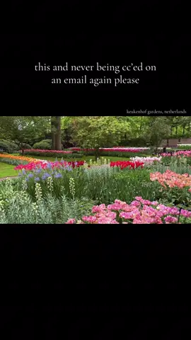 get me to the gardens!! #keukenhof #amsterdam #netherlands #tulips #garden #tulipgardens #spring #amsterdamthingstodo #holland #tulipseason 