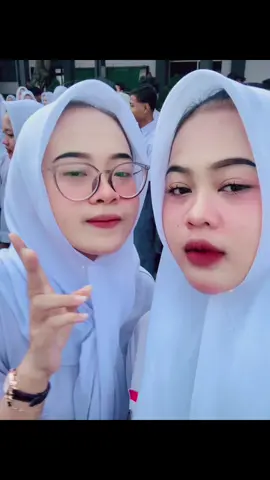 apell dluuu
