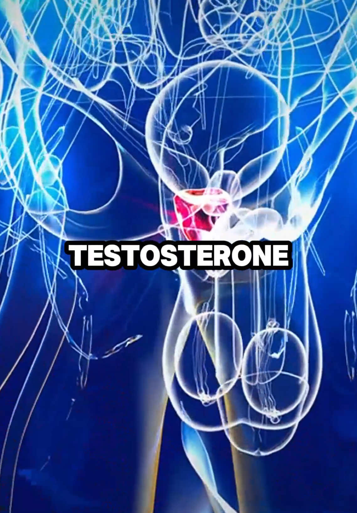 9 foods you should avoid that destroy your testosterone #healthy #healthtips #nutrition #testosterone #foods 