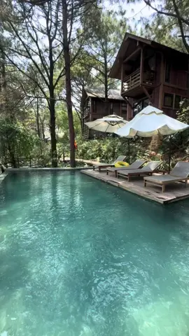 📍𝐾ℎ𝑢 𝑅𝑒𝑡𝑟𝑒𝑎𝑡 đ𝑒̣𝑝 𝑛ℎ𝑎̂́𝑡 𝑡𝑎̣𝑖 𝑆𝑜́𝑐 𝑆𝑜̛𝑛 📍 #amayaretreat #amayaretreatsocson #villa_homestayquanhhanoi #homestayhanoi #villa #nghiduong #viral 