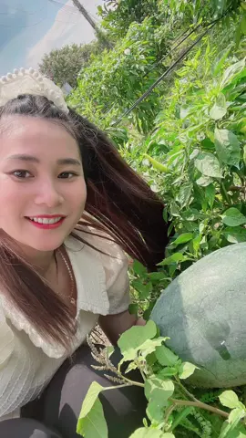 ✅cây nhà lá vườn🥰