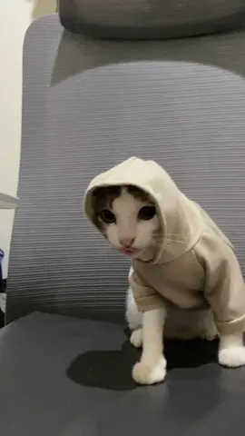 balerino kapucinooo #fyp 