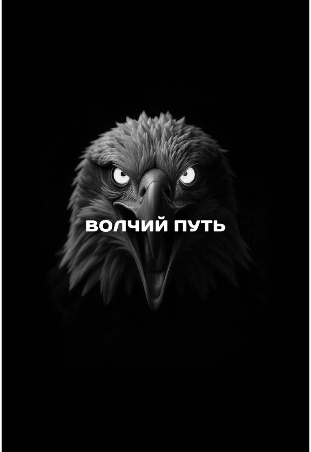 Добивайтесь успеха сами, не ждите! #успех #хабибнурмагомедов #мотивация #саморазвитие 