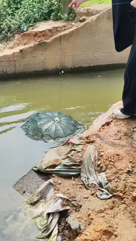 Portable Automatic umbrella type fishing net! #fishingnet #foryou #tiktok 