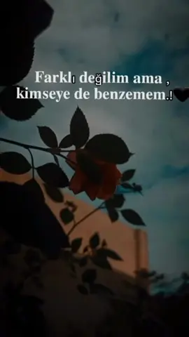 🥀