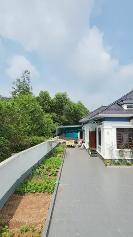 gợi ý mẫu biệt thự nhà vườn mái nhật vuông 4 phòng ngủ 12.5x12.5 #xuhuong  #nhadepdaichienntn  #bietthunhavuon  #bietthunhadep  #nhadep2025 