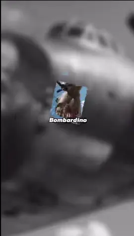 Bombardino dramondgreeno 🔥🔥🔥
