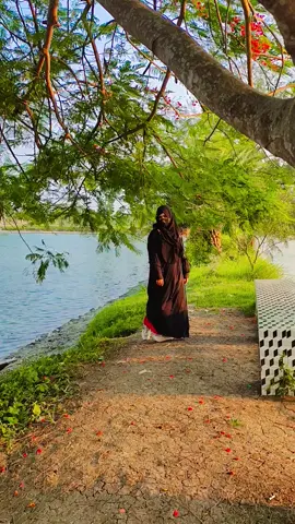choto belai ganta suntam.. ringtone ta sundor lage ❤️#foryou #meherpur_bd_tiktok❤️ #foryoupage #nature @TikTok @TikTok Bangladesh 