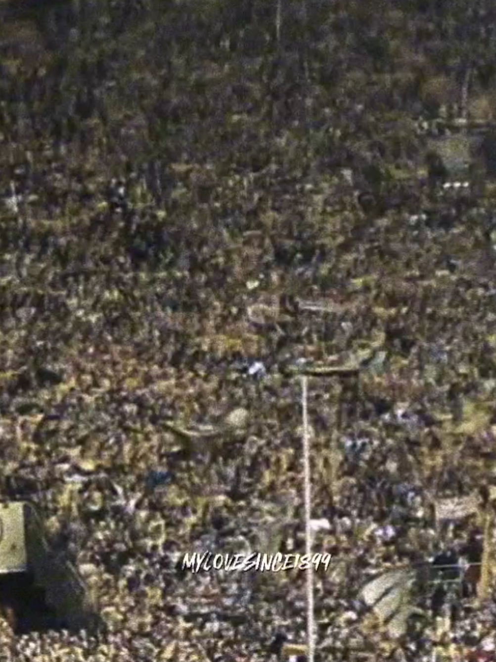 No jumping no party #german #ultras #jumping #footballtiktok #fyp 
