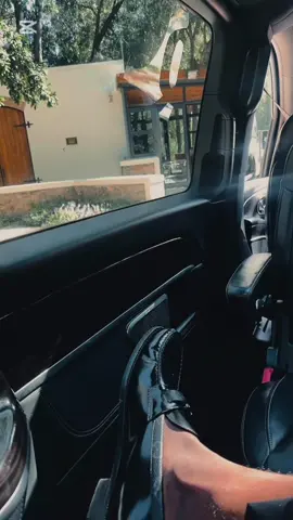 Booked an amazing ride with Innoson_luxurycars on instagram for this wonderful experience #fyp #sama28 #viralvideos#sa #satiktok🇿🇦 #capetown #naijatiktok 