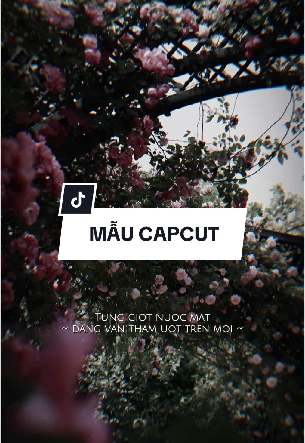 Nỗi Đau Xót Xa Remix 💫 | Từng giọt nước mắt đắng vẫn thấm ướt trên môi, vì trong lòng anh chỉ có yêu một mình em thôi... #viral #trungdongcapcut 