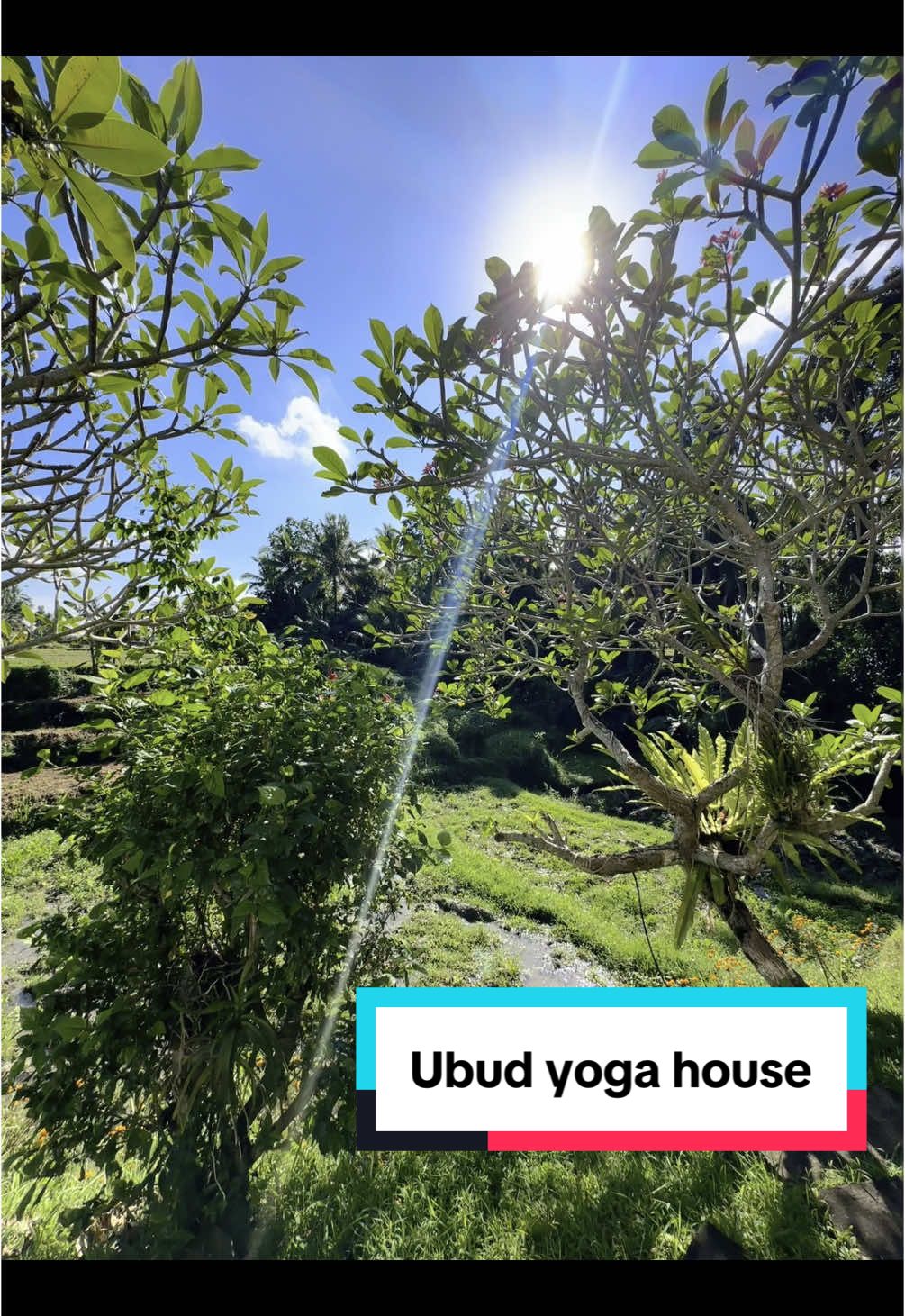 Diesen Morgen starten wir von unserem Zuhause aus, in unserer Gegend und machen uns auf den Weg zum Yoga House Ubud, damit wir pünktlich um 7:30 Uhr zur Sunrise Yoga Class da sind. Auf dem Weg dorthin genießen wir die wunderschöne Umgebung, die Ruhe und die Magie der Natur – ein perfekter Start in den Tag. #yoga #ubud #yogahouseubud #tiktokgermany #tiktokgerman #germany #bali #ausgewandert #deutschland #viral #viralvideo #enjoylife 